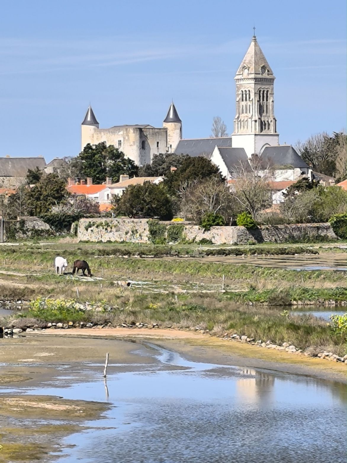 Région Pays-de-la-Loire